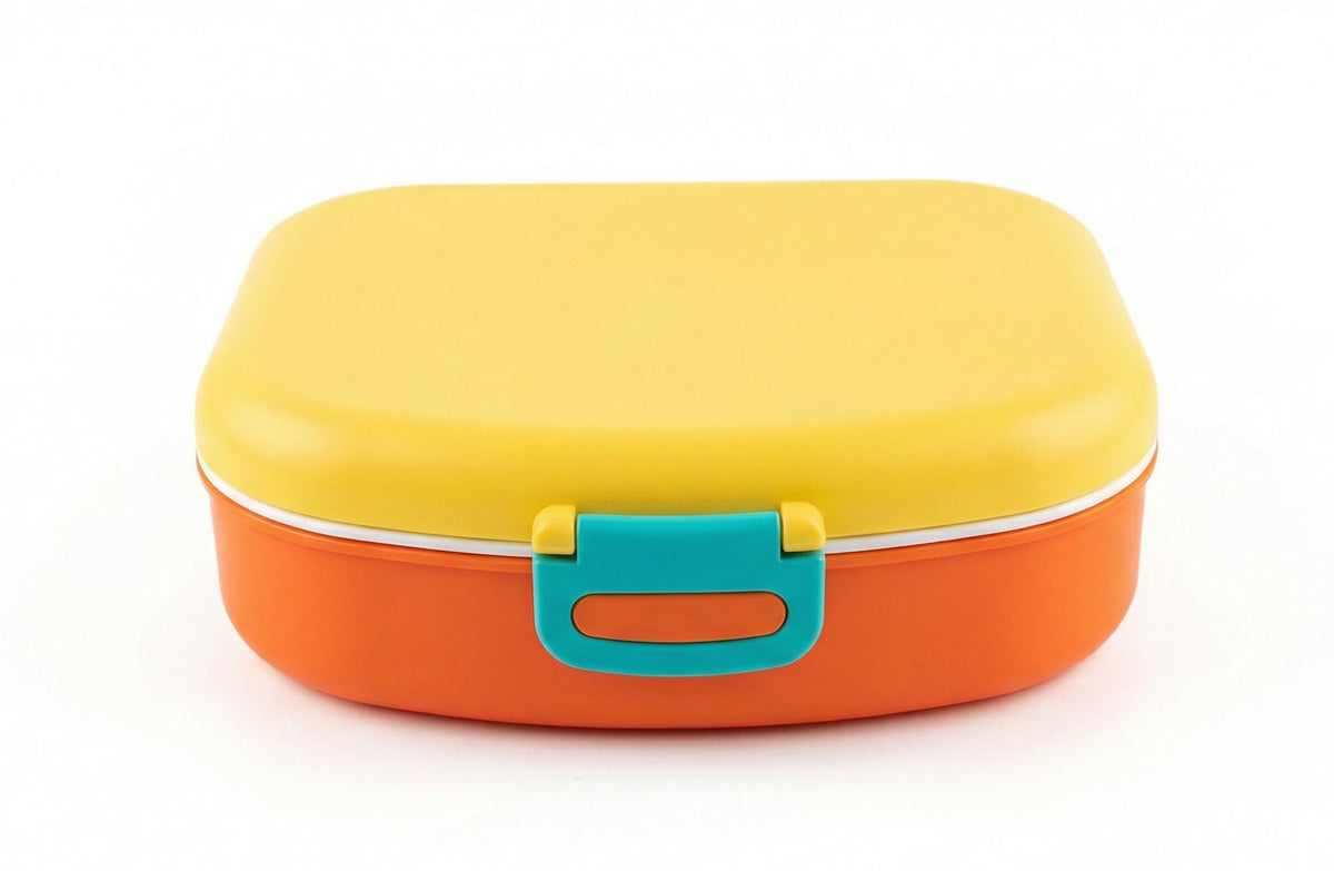 Multicolor Plastic Lunch Box – Everyday Food Container